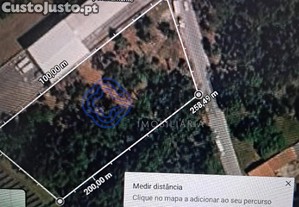 imagem_7