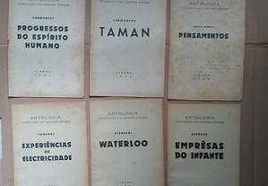 imagem_5