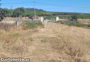imagem_36