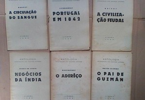 imagem_4