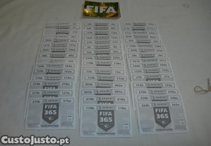 imagem_2