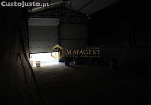 imagem_11