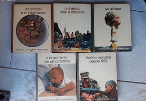 imagem_6