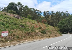 Terreno Rústico Urbanizável Com 3.834 M² Em Silvares (S. Martinho), Fafe