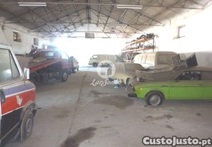 imagem_14