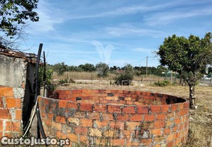 imagem_34