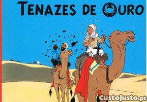 imagem_5