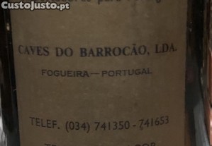 imagem_5