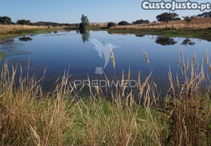 Herdade no alentejo