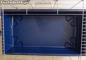 imagem_5