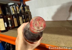 imagem_4