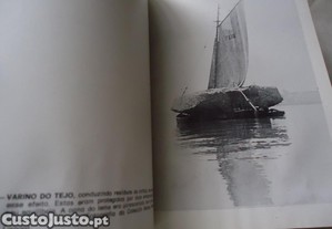 imagem_7