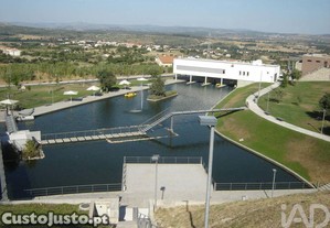 imagem_20