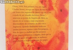 imagem_4