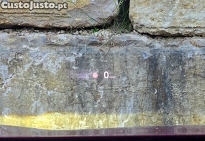 imagem_22