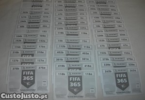 imagem_4