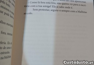 imagem_4