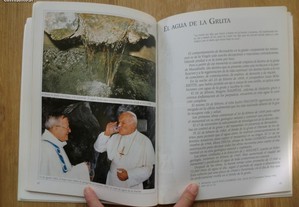 imagem_7