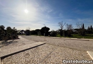 imagem_8