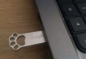 Pen USB pata de animal