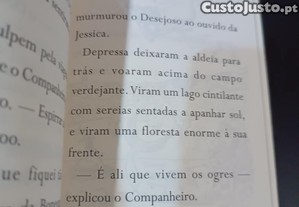imagem_6