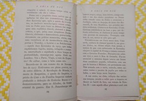 imagem_4