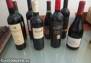 imagem_5