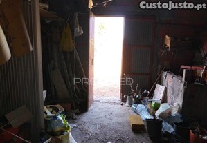 imagem_31