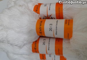 imagem_3