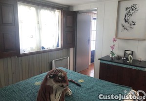imagem_29