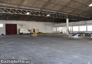 imagem_22