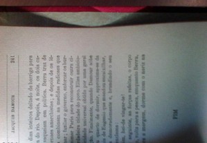 imagem_8