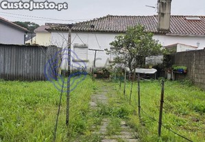 imagem_21