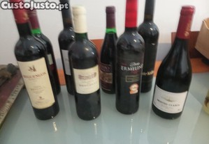 imagem_4