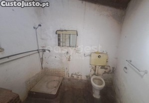 imagem_7