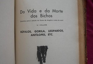 imagem_7