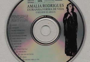 imagem_8