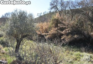 Terreno em Freixianda, Ribeira do Fárrio e Formigais de 2840,00 m²