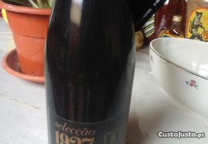 Garrafa de cerveja Super Bock edição limitada.