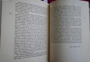 imagem_8