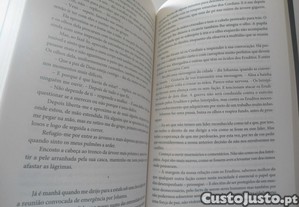 imagem_7