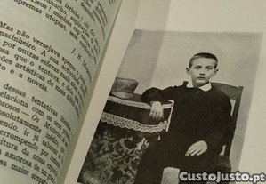 imagem_13