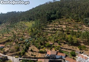 imagem_27