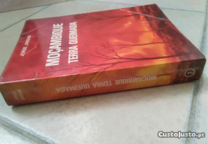 imagem_2