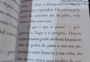imagem_5