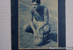imagem_1