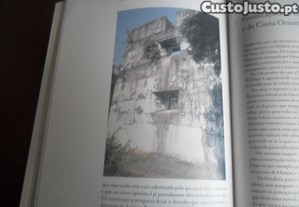 imagem_11