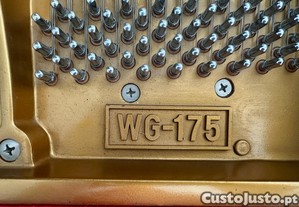 imagem_6