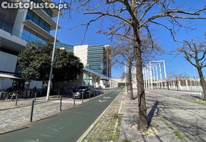 imagem_16