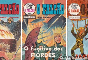 imagem_4